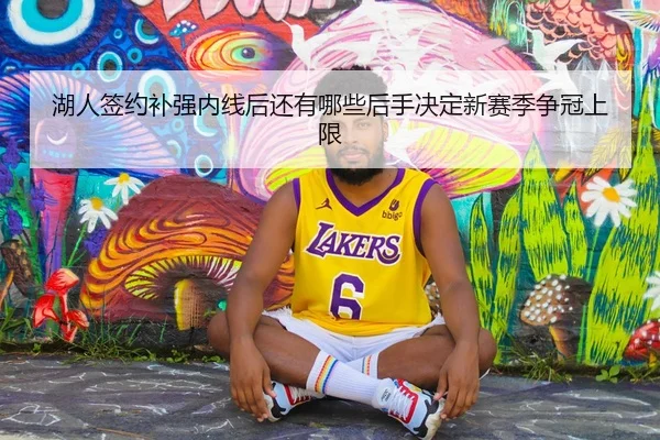 湖人签约补强内线后还有哪些后手决定新赛季争冠上限 | caijingwang
